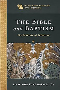 Book cover of The Bible and Baptism by Isaac Augustine Morales, OP