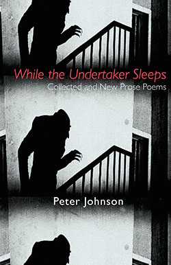 Book cover of While the Undertaker Sleeps by Peter Johnson